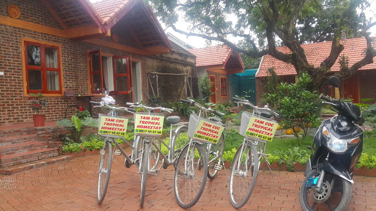 Tam Coc Tropical Homestay Ninh Binh Exterior photo